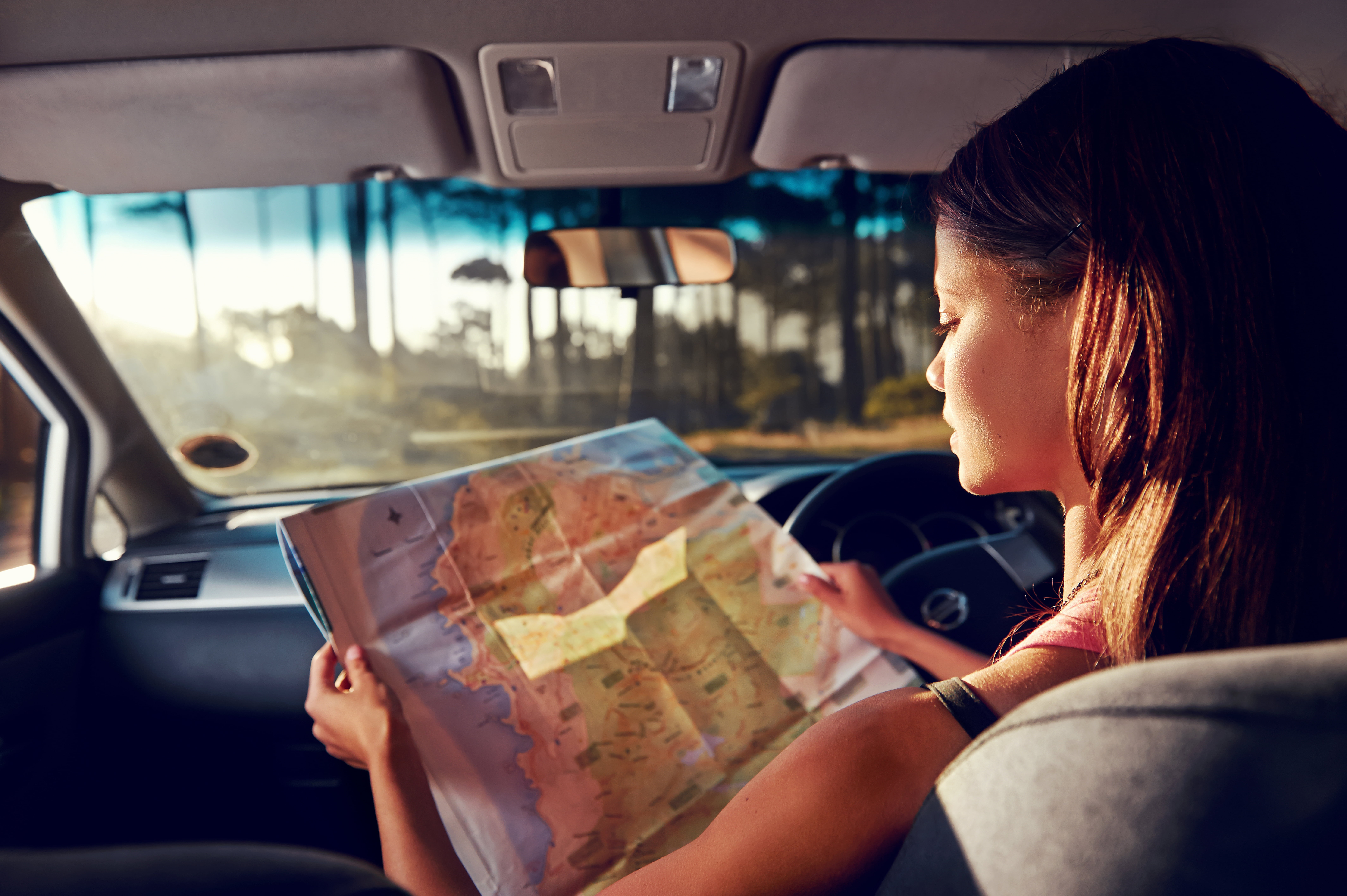 Какая девушка внутри. Девушка внутри машины. Девушка смотрит на карту. Человек с картой дорог. Водитель с картой в руках.